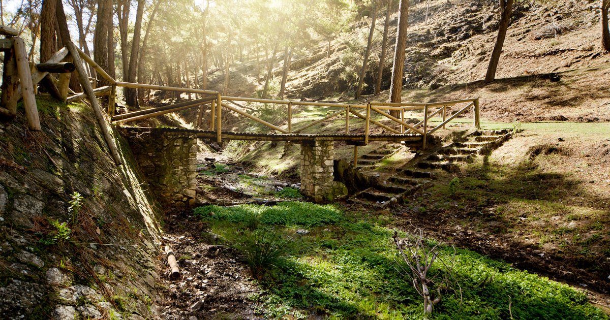 Jaén Merece Más urge a la Junta a blindar la Cañada de las Hazadillas ante el riesgo inminente de incendios