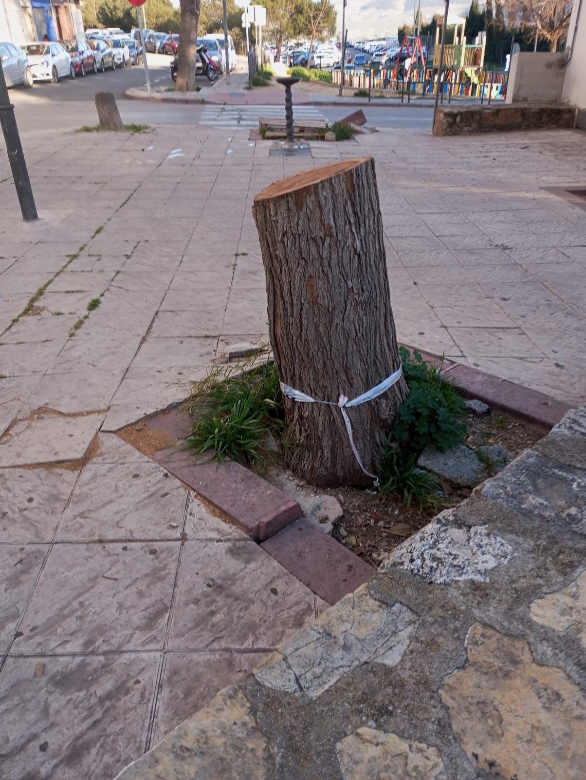 «Jaén está de pena»: El grito de auxilio de La Alcantarilla ante el abandono de Mantenimiento Urbano
